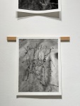 0046-v1-w