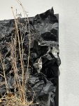 0079-v1-w