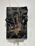 0229-v1-w