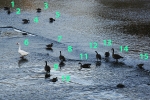 8572_4x6 v1 w