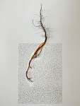 0987-v1-w