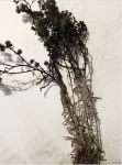 detail-Tilt-w