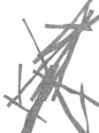 0910-PBv2-w