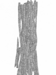 0913-PBv1-w