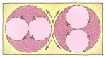 3-v4-PB-v1-w