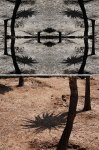 textile-process-sfw