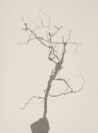 20060419_burgess_49-v1-sfw
