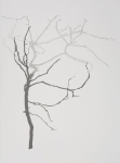 20060419_burgess_50-v1-sfw