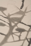 20060419_burgess_69-w