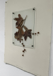 0894-v2-w