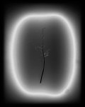 4546b-v24-FINAL-w