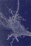 4416_monoinvert-w