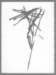 0899-PBv1w