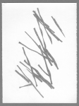 0906-PBv1w