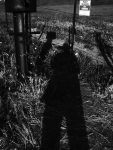 4023v2-v2 w