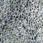 9581-v7-det-w