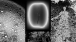 1_triptych-no-border-w